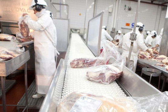 Abren nuevo mercado para la exportación de carne bovina y ovina Kosher con hueso