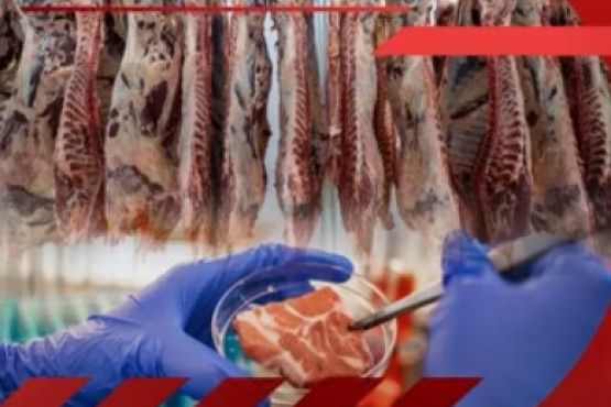 Red Alimentaria realizó la última Jornada de Ciencia y Tecnología Aplicada en Carne Bovina del año