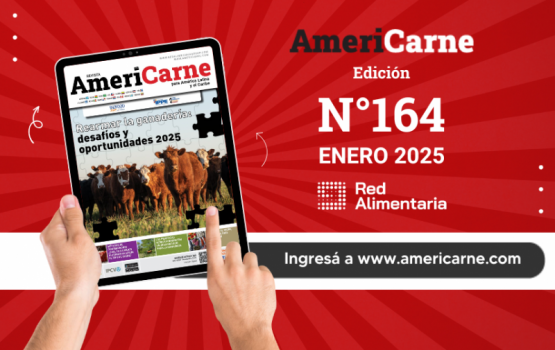 Rearmar la ganadería: desafíos y oportunidades