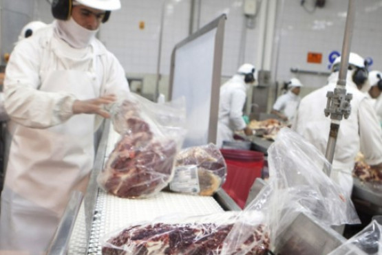 El Gobierno Nacional distribuyó el cupo de carne vacuna asignada por Estados Unidos